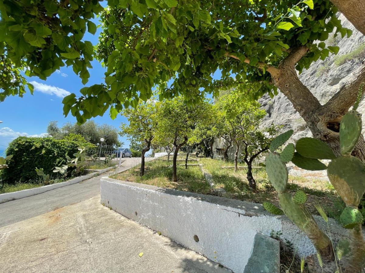 Villetta - Qui Dove Il Mare Luccica - Affitti Brevi Italia Monte Sant'Angelo Eksteriør billede