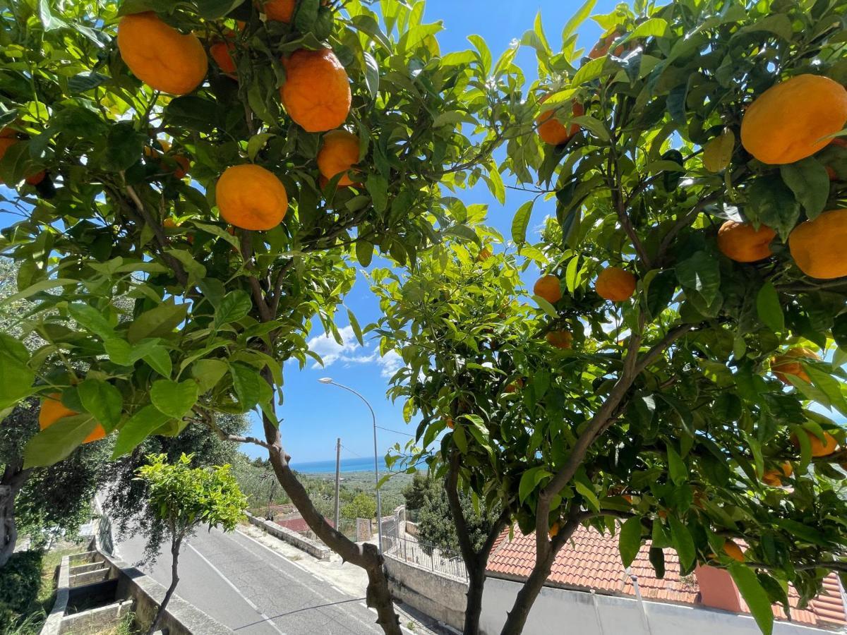 Villetta - Qui Dove Il Mare Luccica - Affitti Brevi Italia Monte Sant'Angelo Eksteriør billede