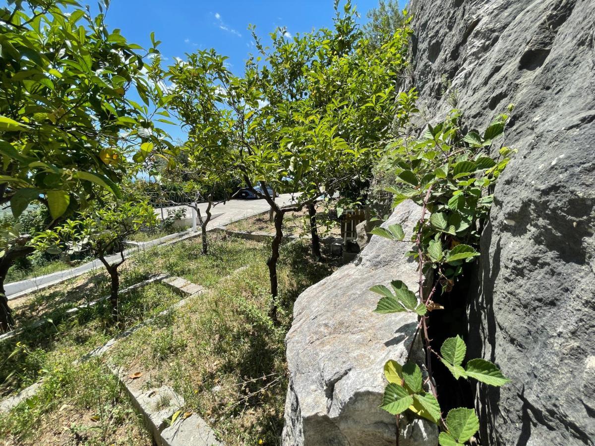 Villetta - Qui Dove Il Mare Luccica - Affitti Brevi Italia Monte Sant'Angelo Eksteriør billede